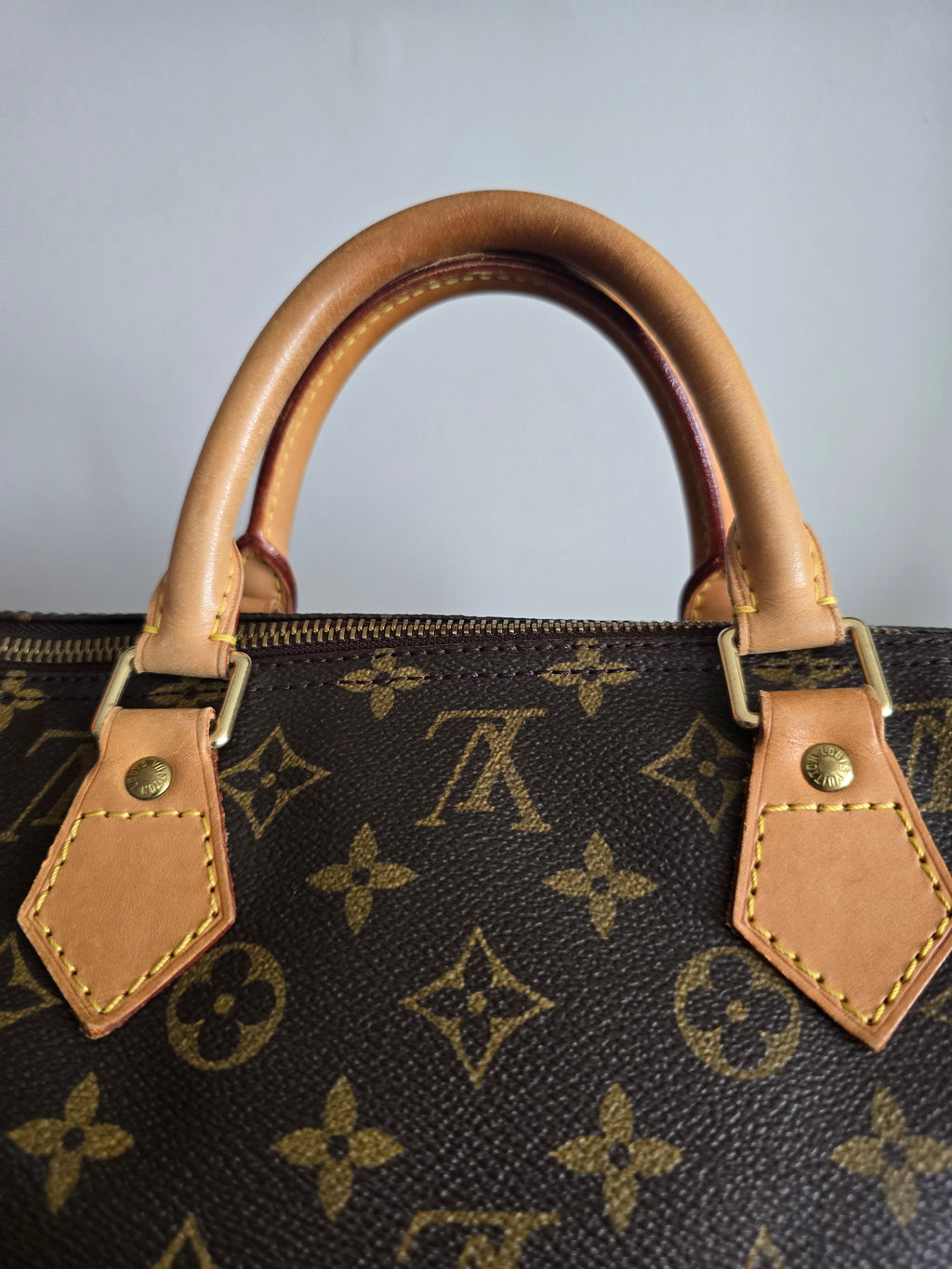 Louis Vuitton Speedy 40 Monogram Handbag in Brown