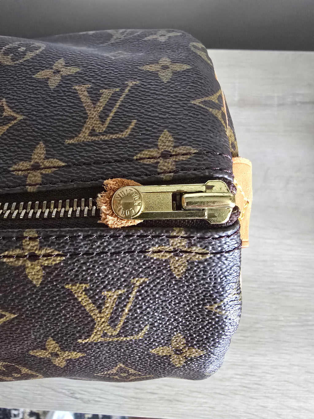 Louis Vuitton Speedy 40 Monogram Handbag in Brown