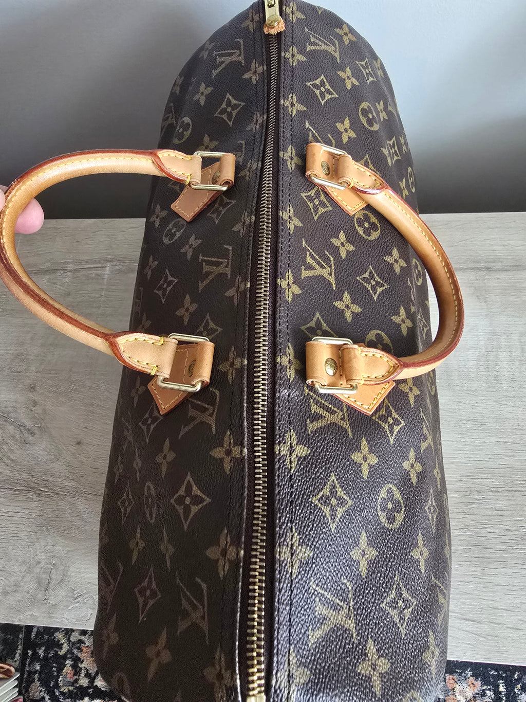 Louis Vuitton Speedy 40 Monogram Handbag in Brown