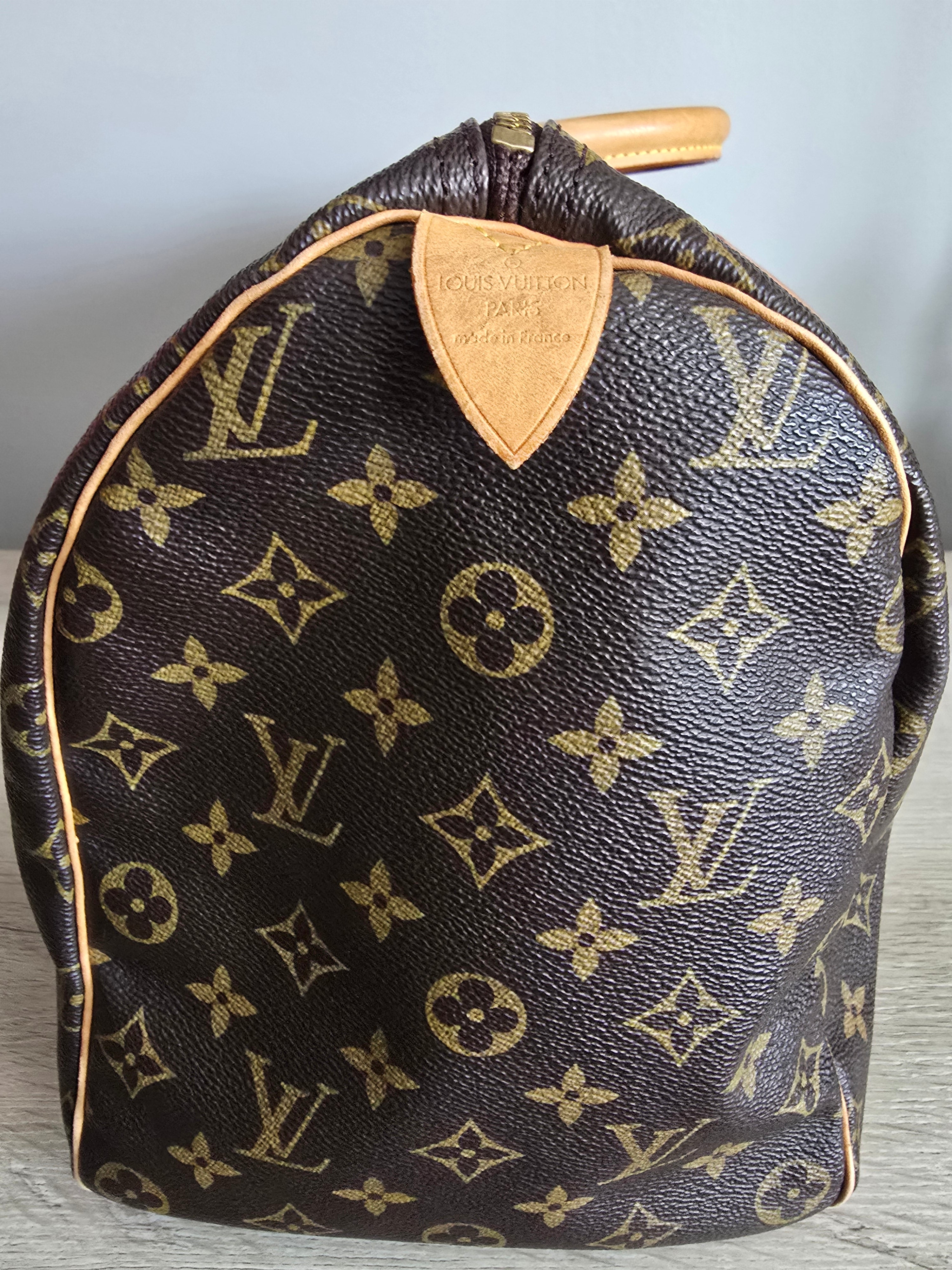 Louis Vuitton Speedy 40 Monogram Handbag in Brown