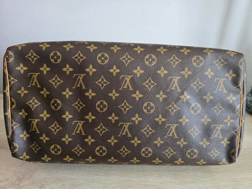 Louis Vuitton Speedy 40 Monogram Handbag in Brown