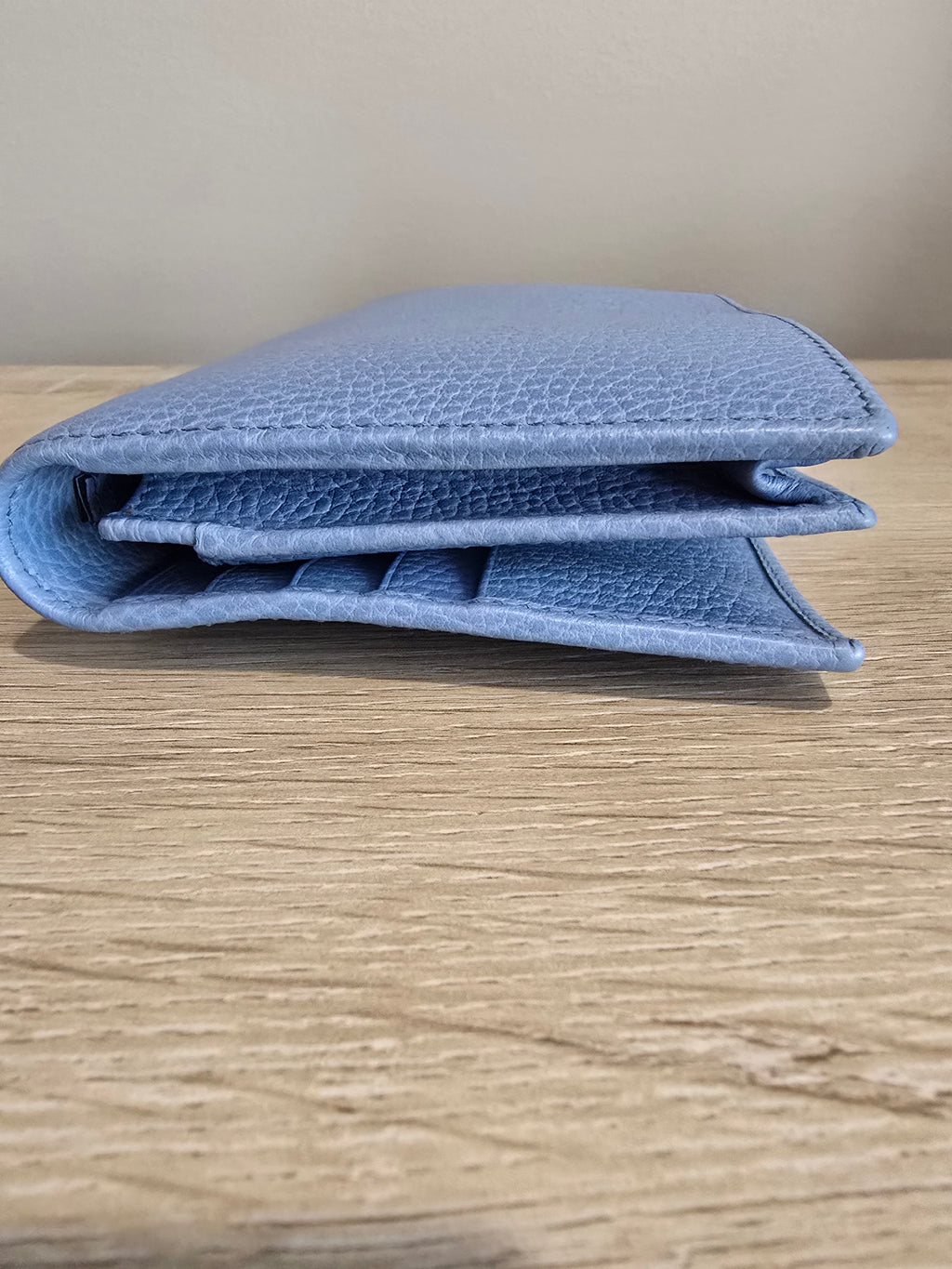 Gucci Swing Wallet on Strap — Baby Blue