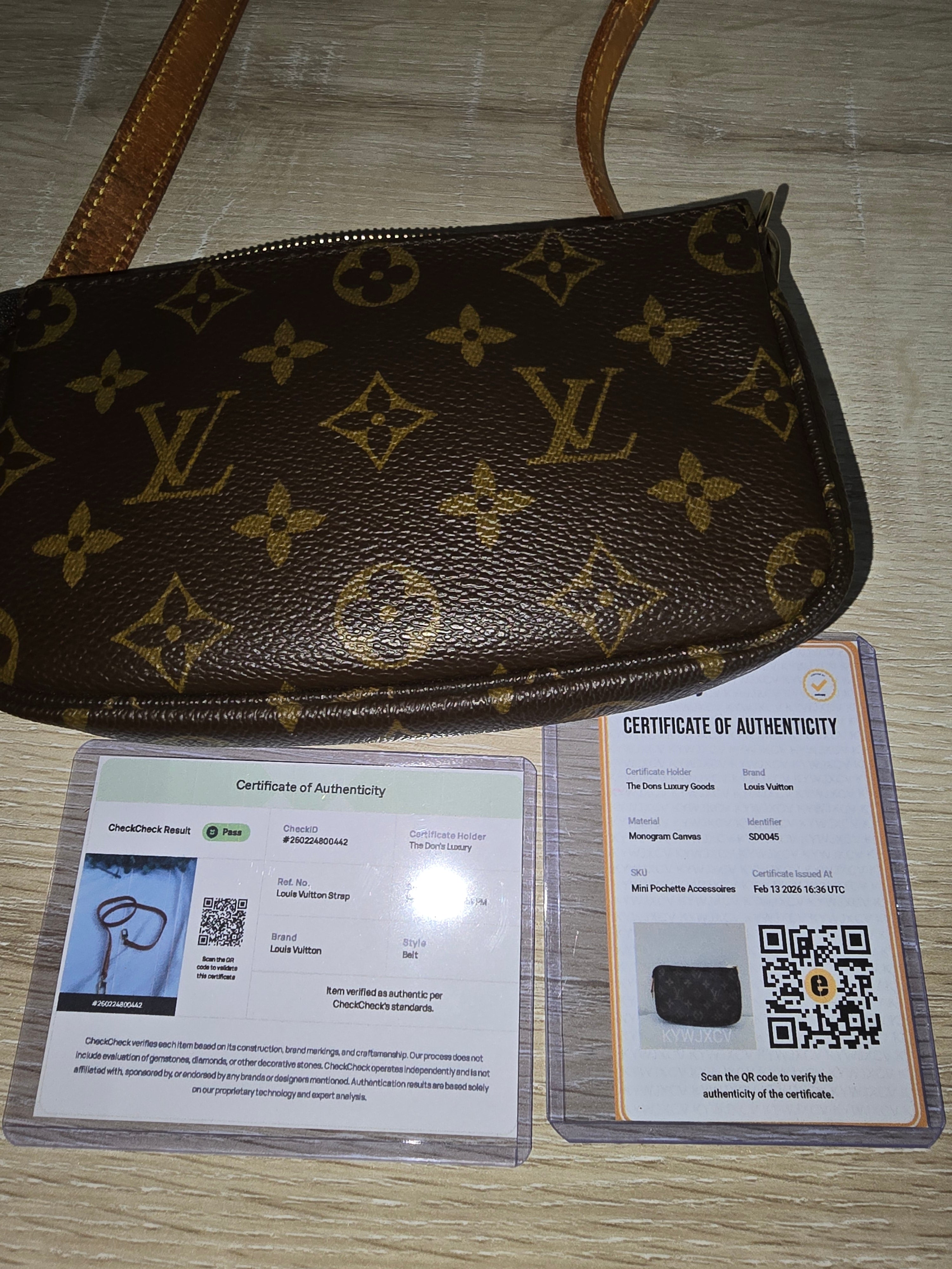 Louis Vuitton Monogram Pochette Accessoires