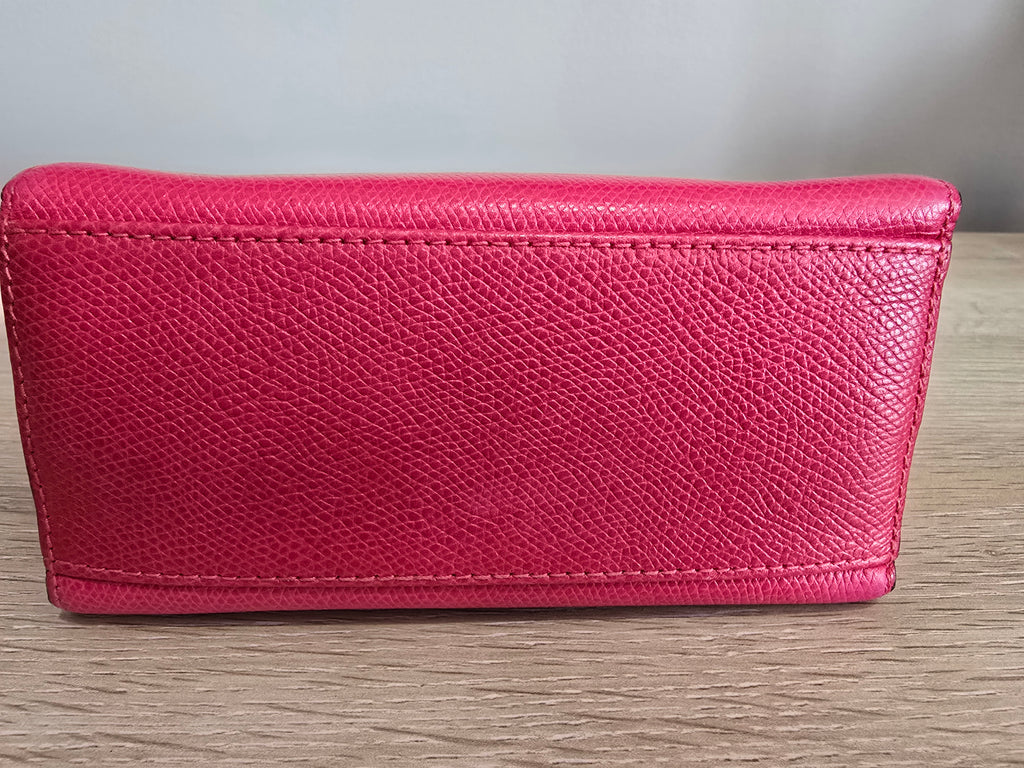 Celine Pink Mini Crossbody Bag — Gold Hardware
