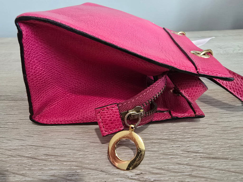 Celine Pink Mini Crossbody Bag — Gold Hardware