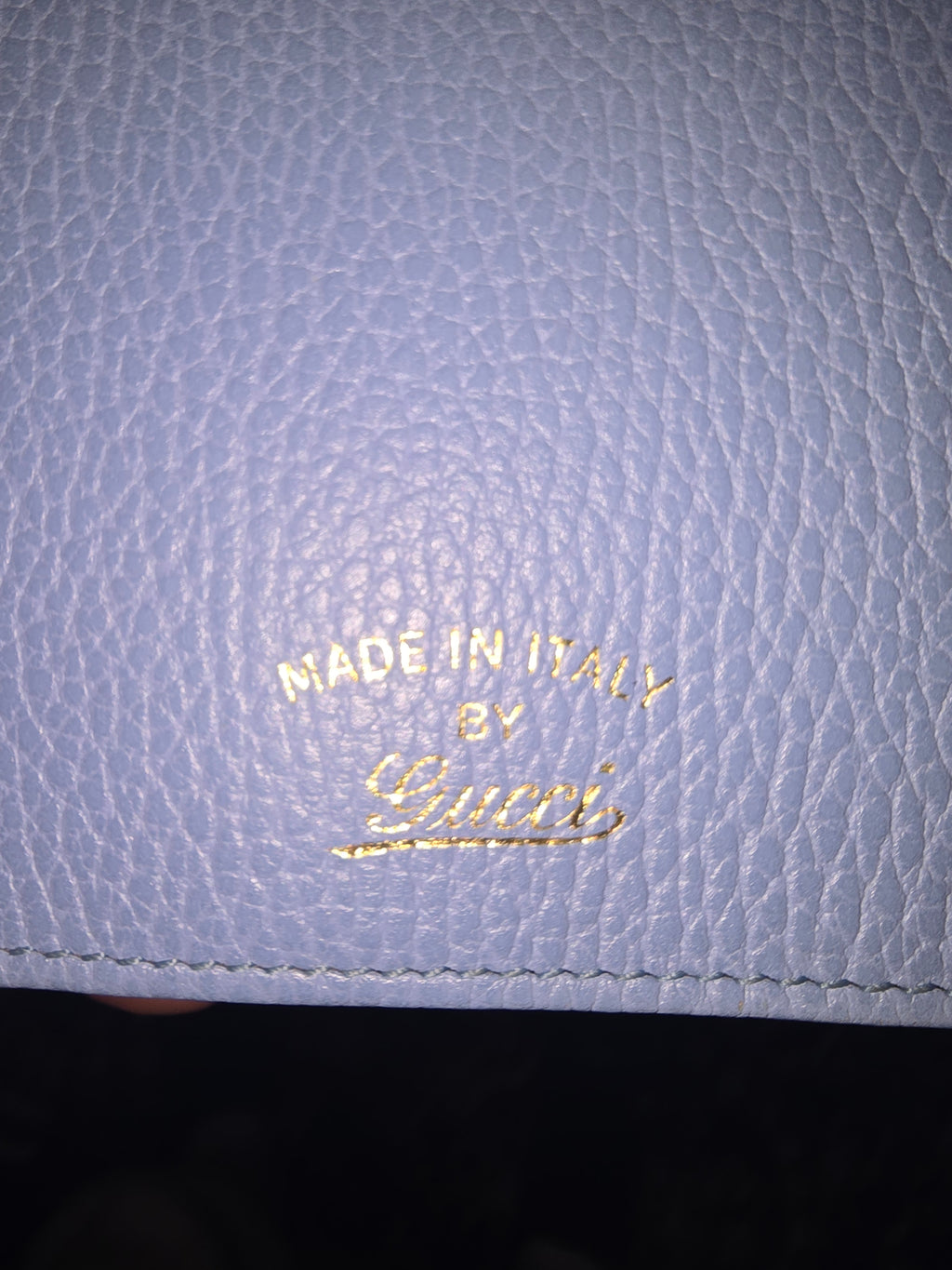 Gucci Swing Wallet on Strap — Baby Blue
