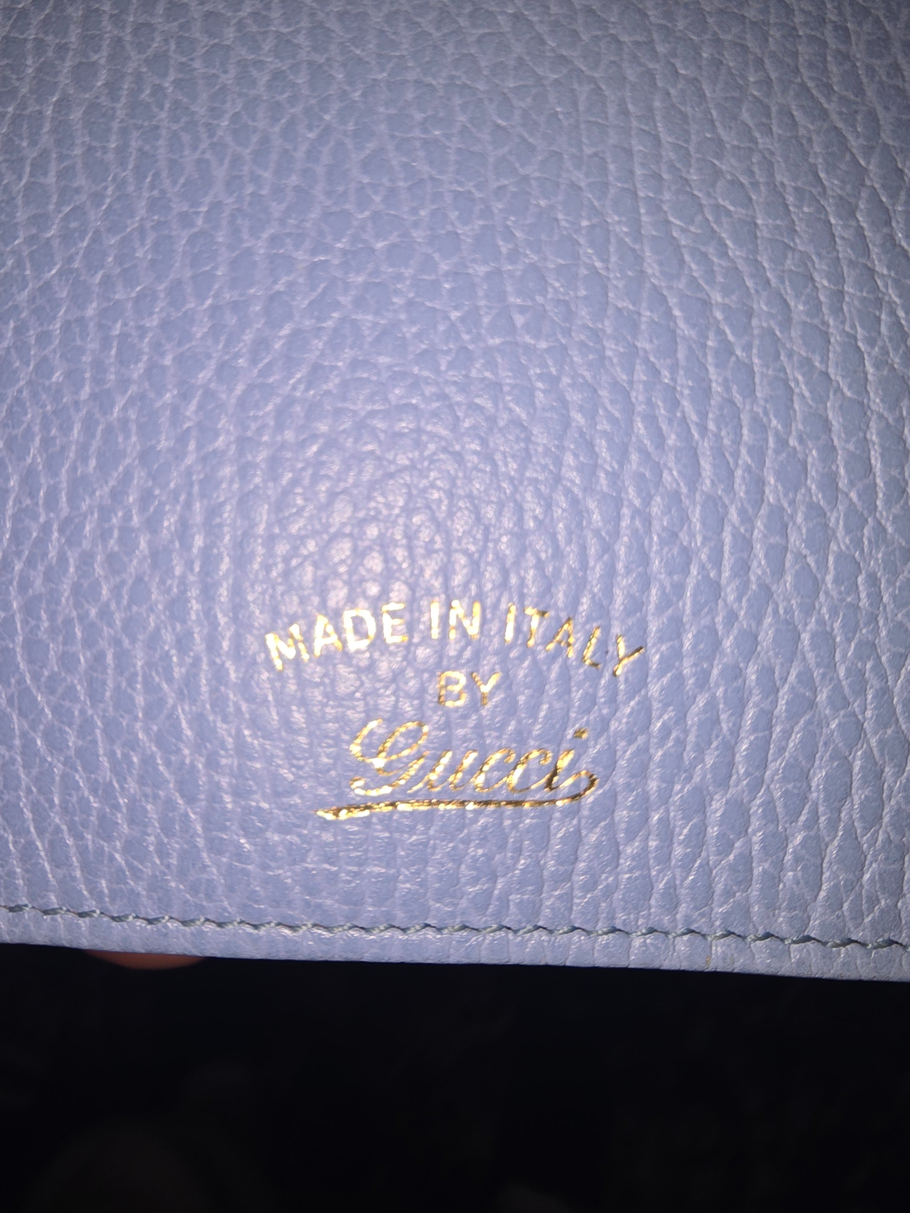 Gucci Swing Wallet on Strap — Baby Blue