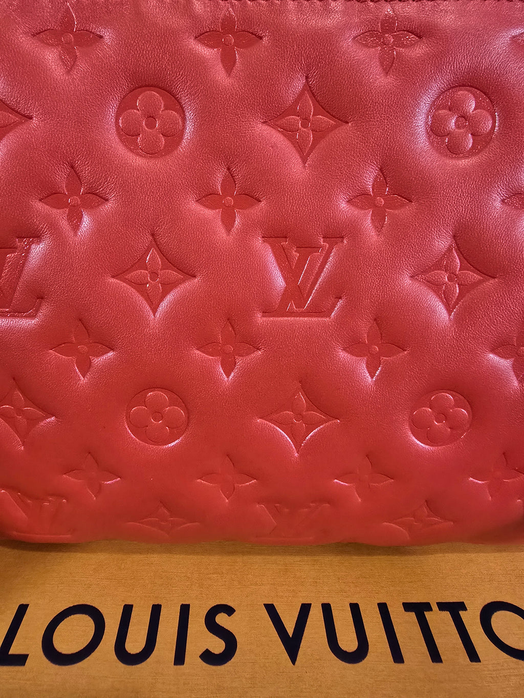 Louis Vuitton Coussin PM Embossed Lambskin Red