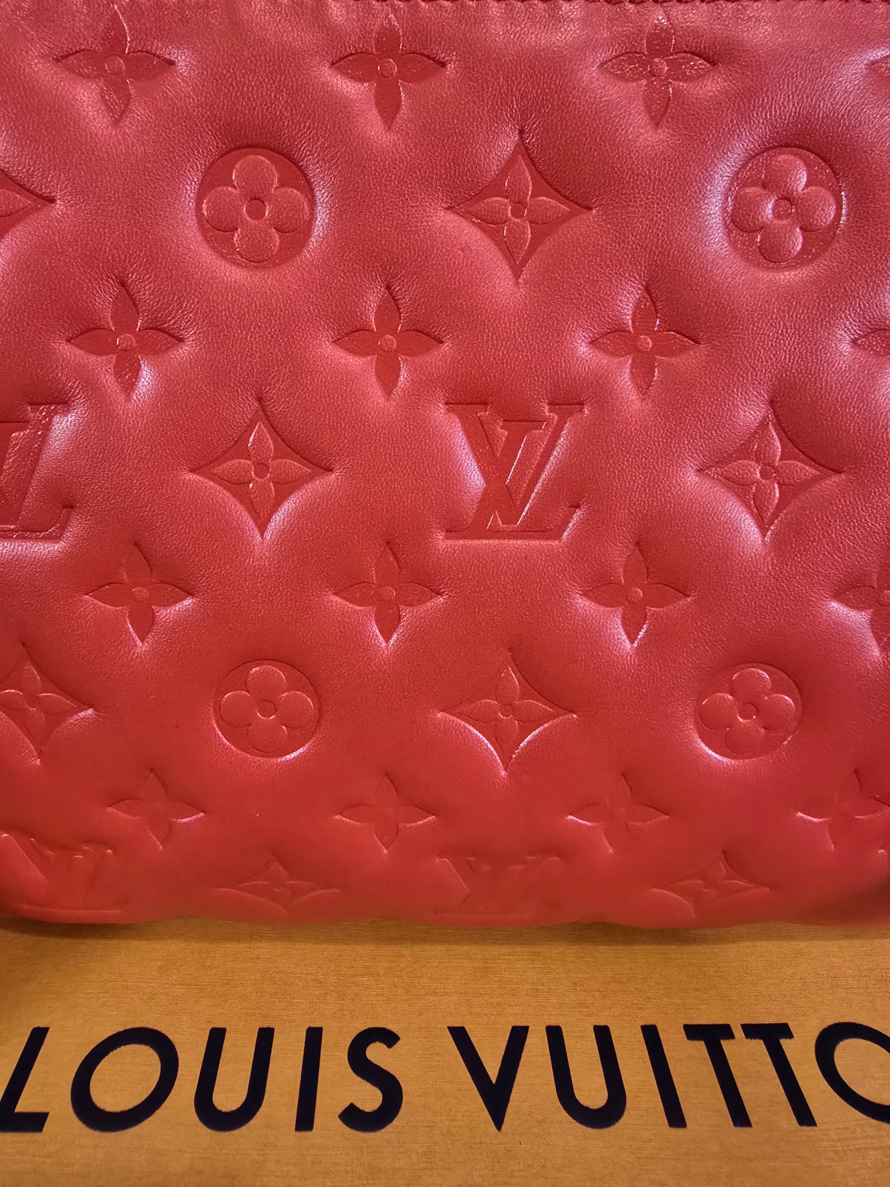 Louis Vuitton Coussin PM Embossed Lambskin Red