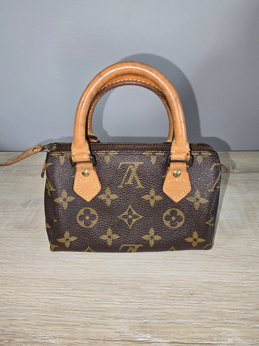 Louis Vuitton Monogram Speedy Nano