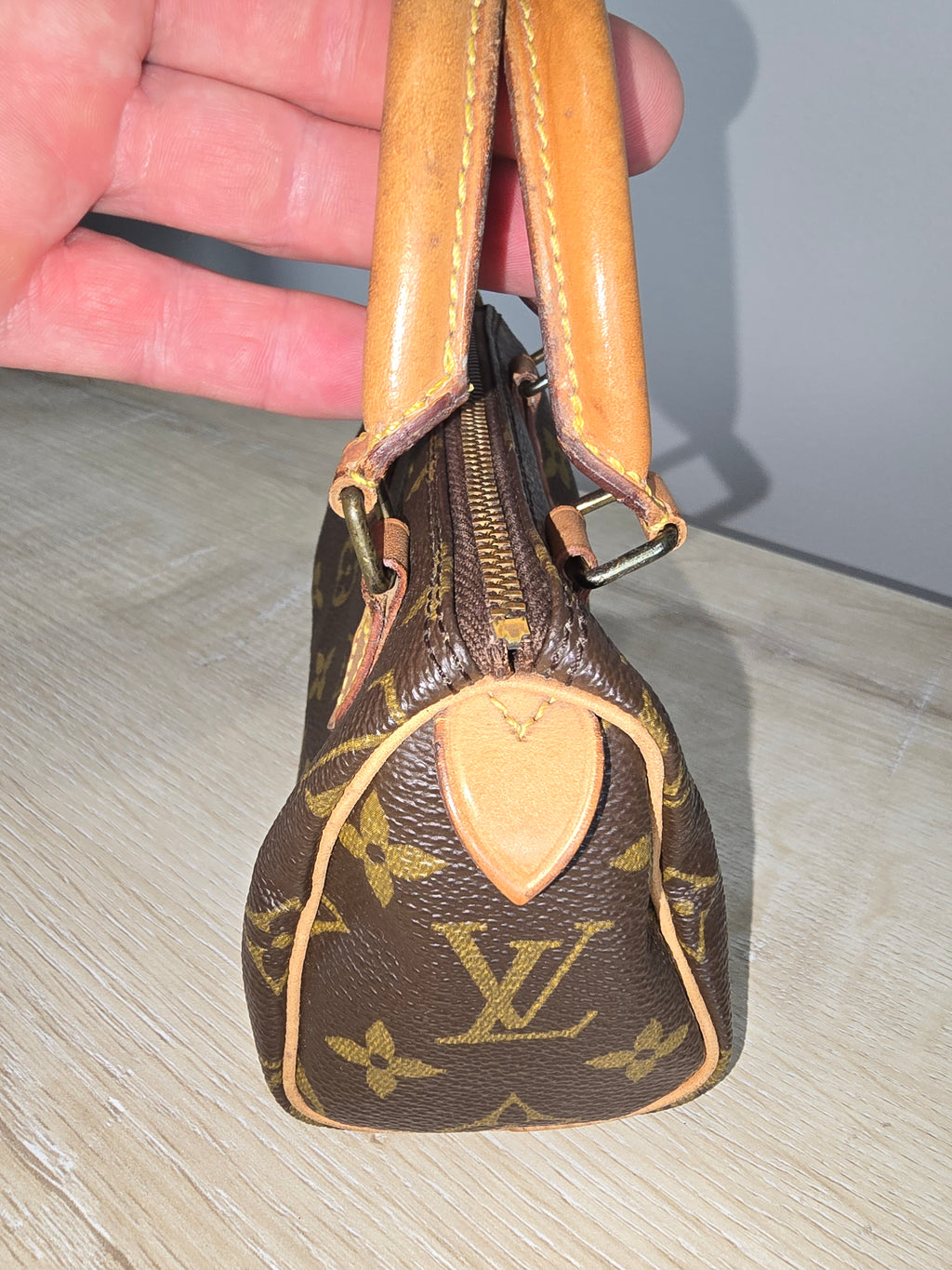 Louis Vuitton Monogram Speedy Nano