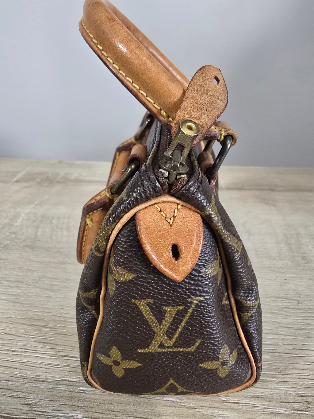 Louis Vuitton Monogram Speedy Nano