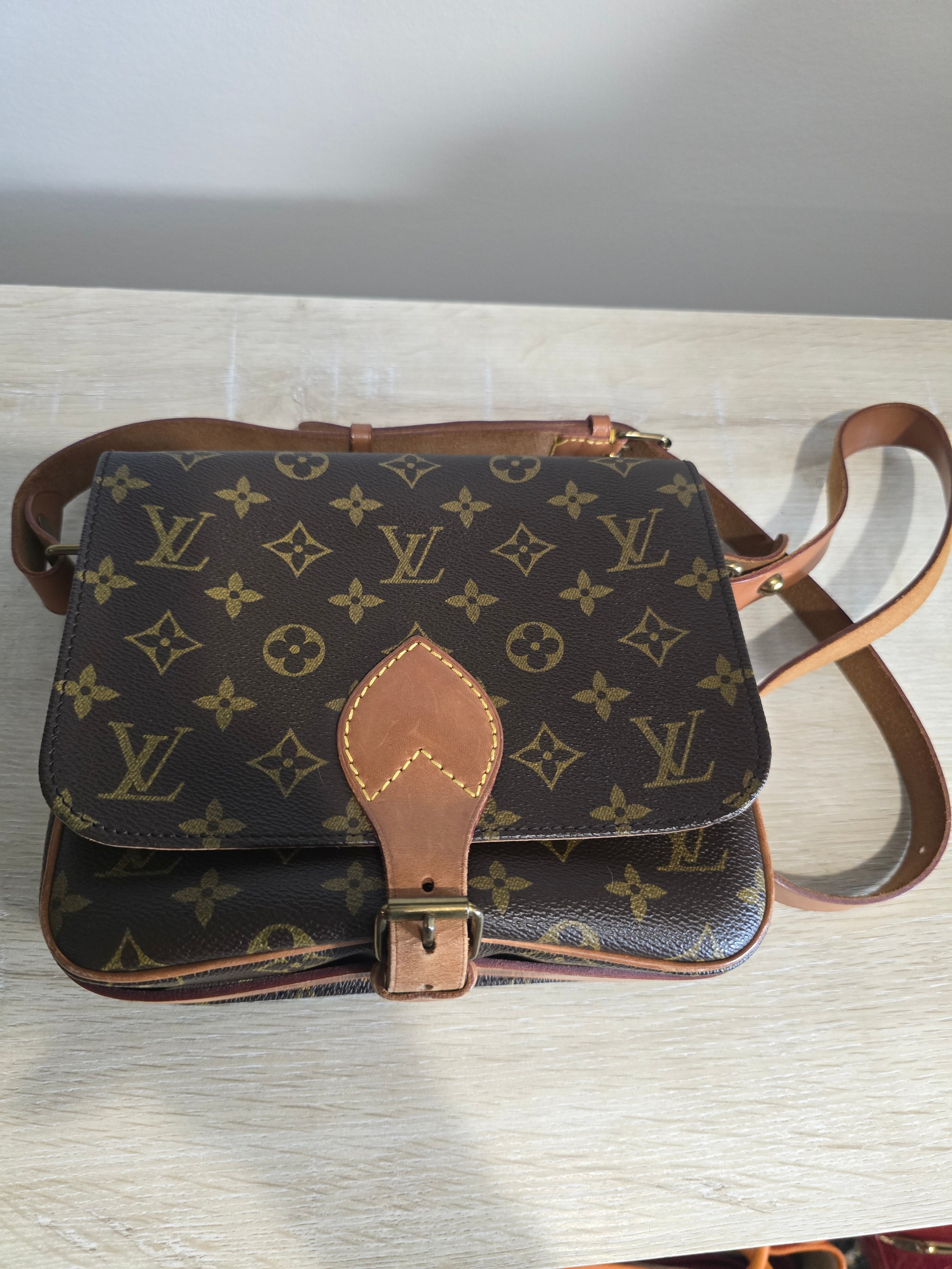 Louis Vuitton Monogram Cartouchiere 22