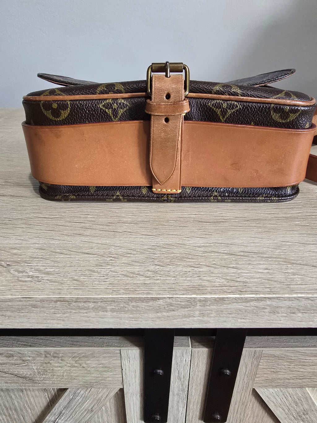 Louis Vuitton Monogram Cartouchiere 22