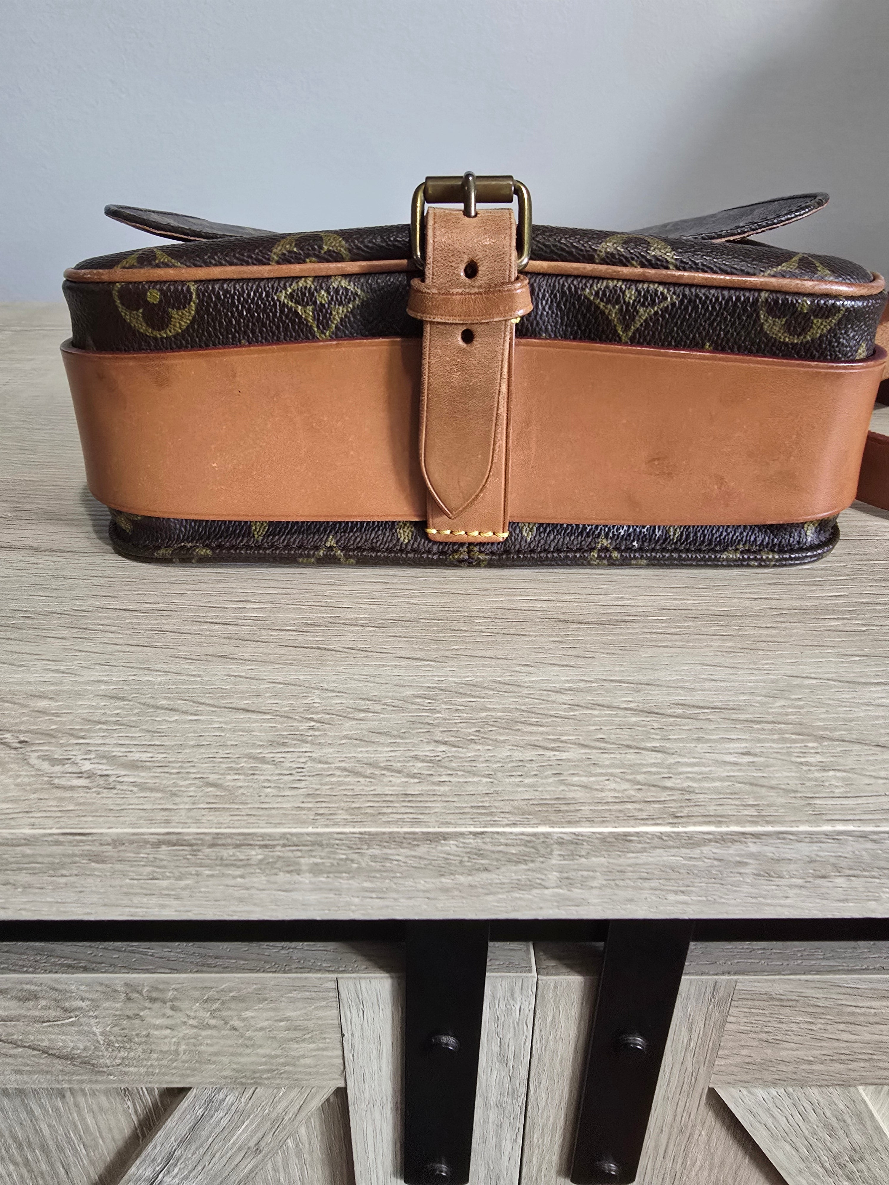 Louis Vuitton Monogram Cartouchiere 22