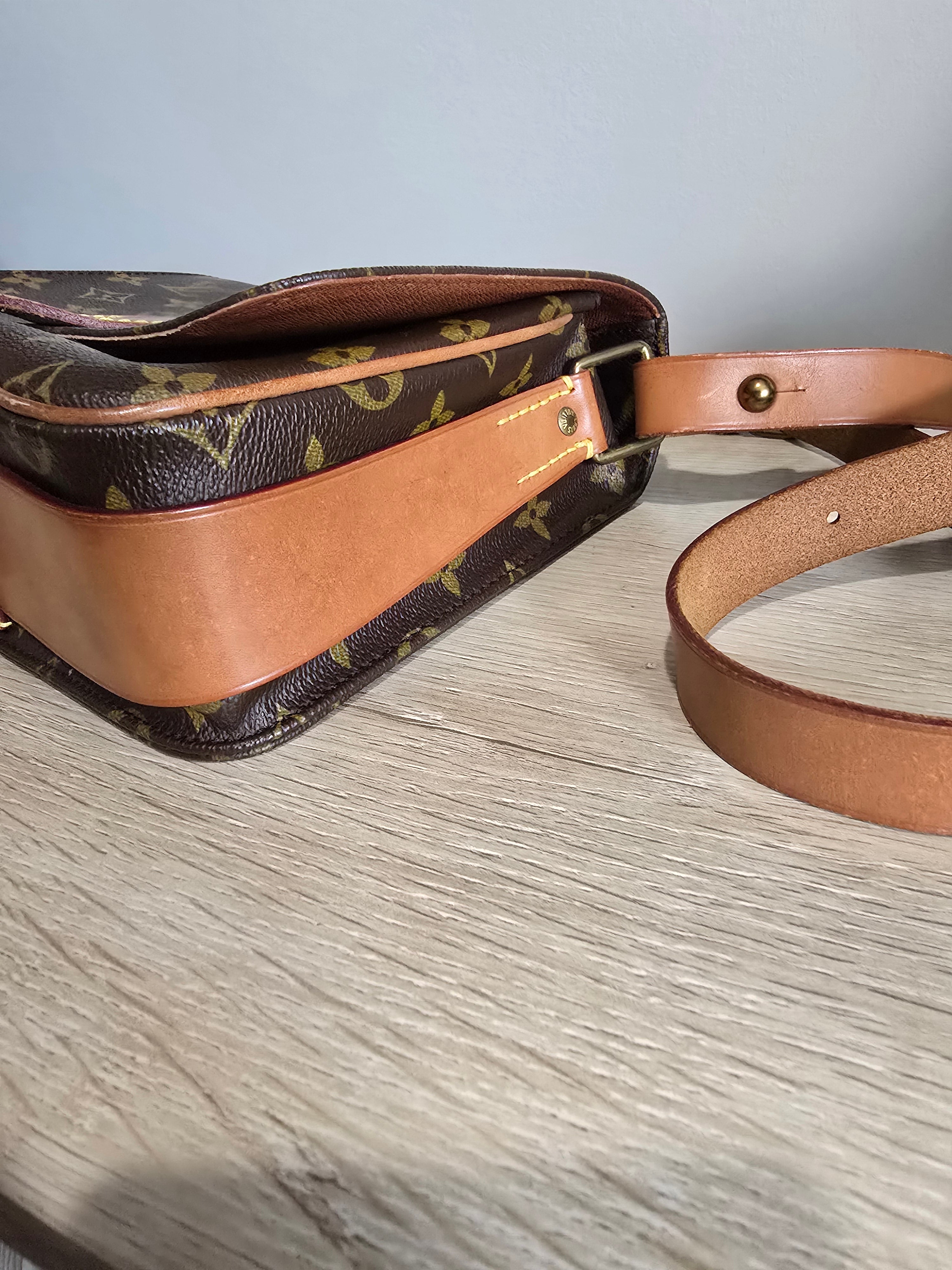 Louis Vuitton Monogram Cartouchiere 22