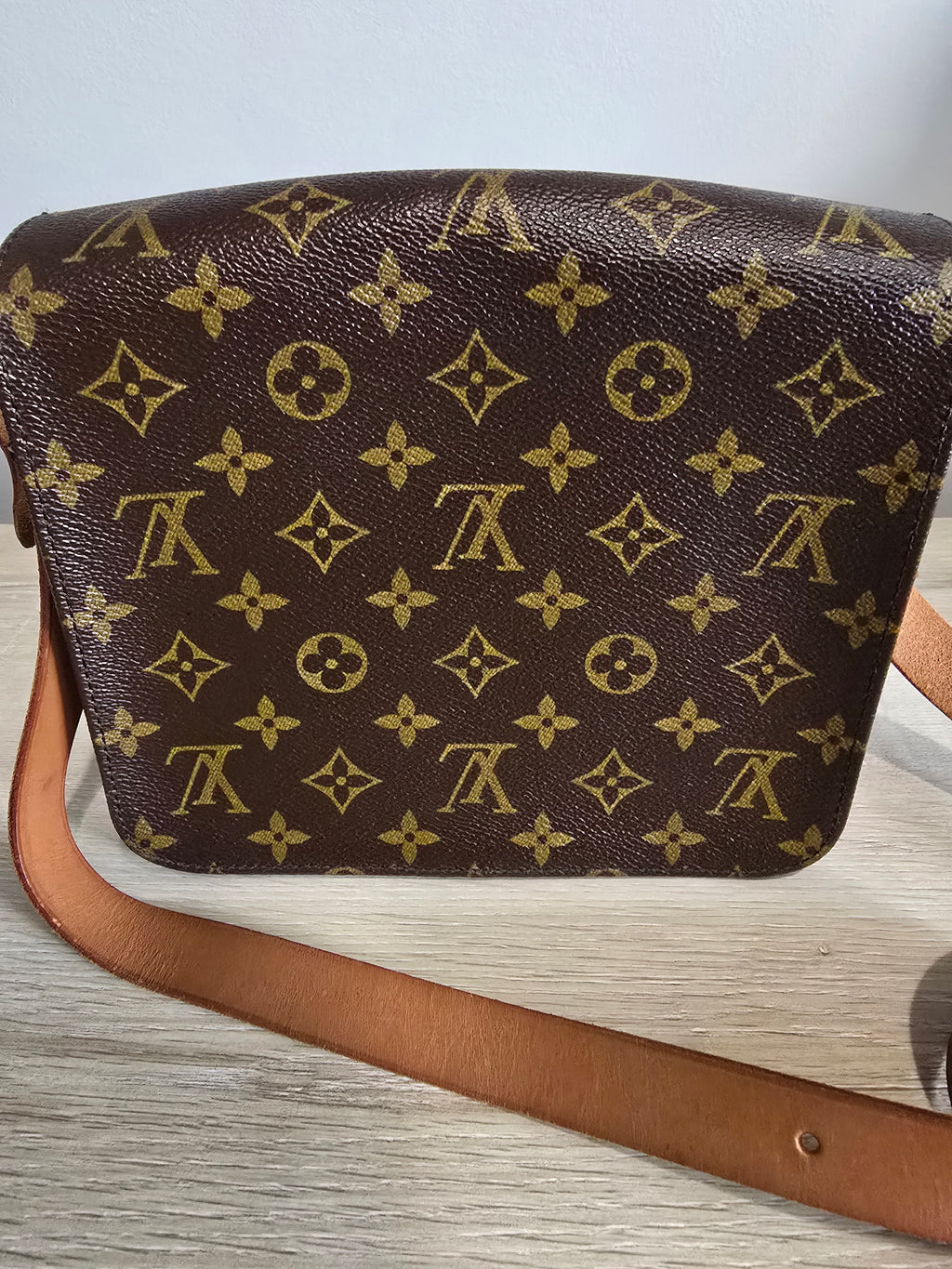Louis Vuitton Monogram Cartouchiere 22