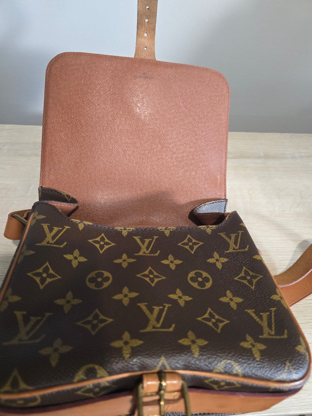 Louis Vuitton Monogram Cartouchiere 22