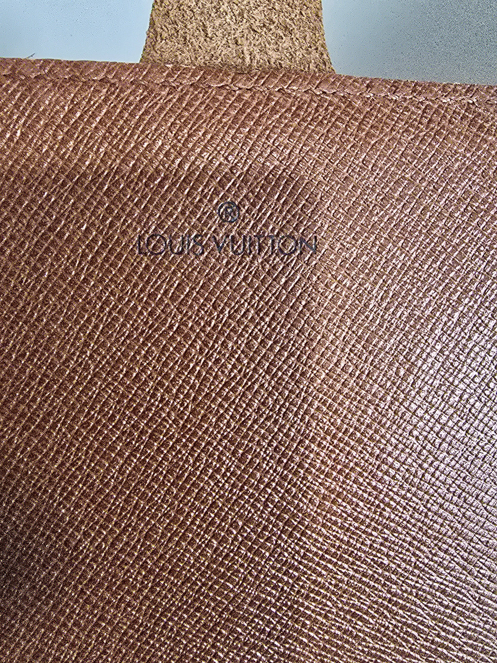 Louis Vuitton Monogram Cartouchiere 22