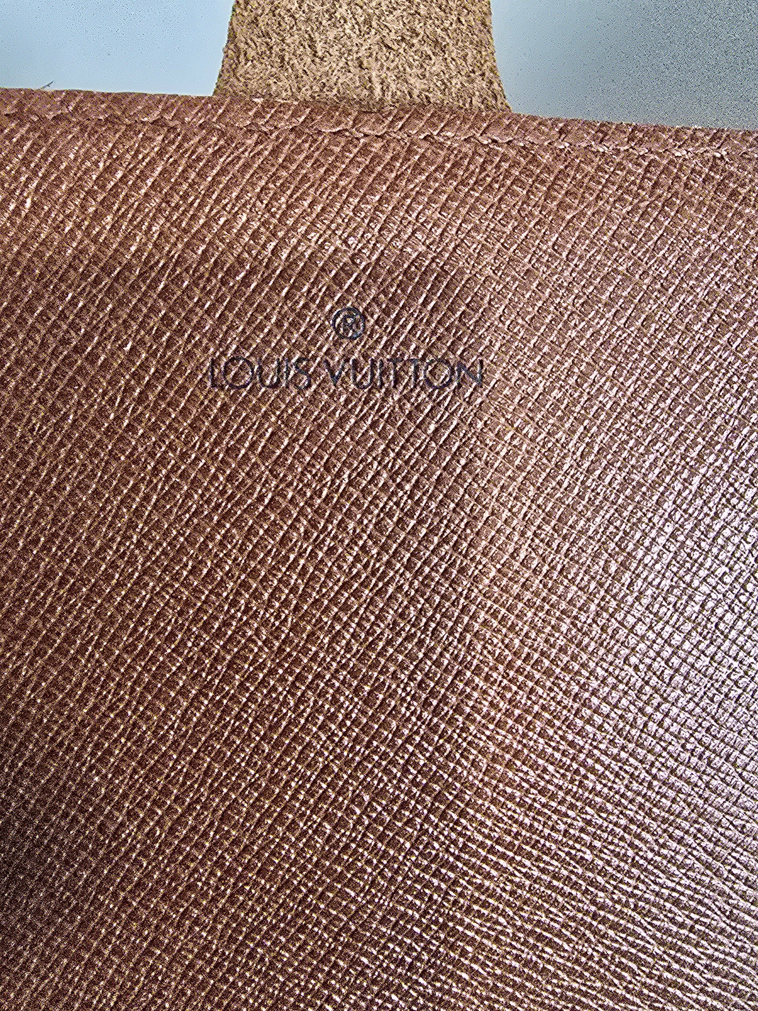 Louis Vuitton Monogram Cartouchiere 22