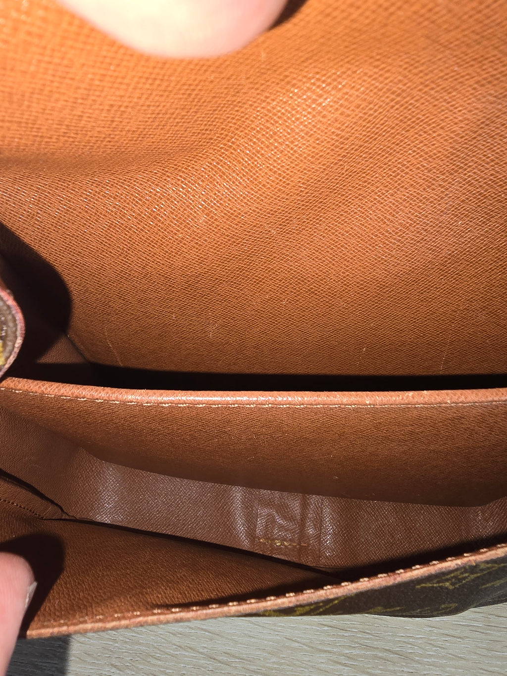 Louis Vuitton Monogram Cartouchiere 22