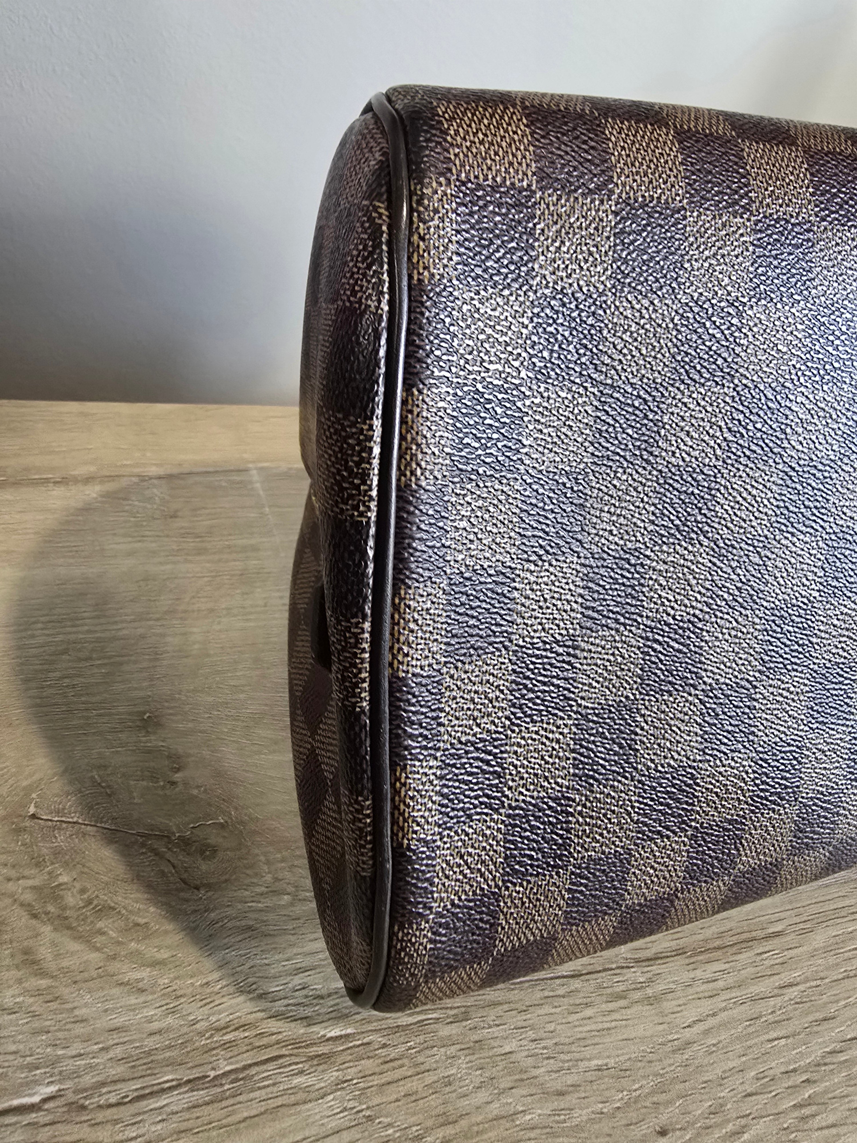 Louis Vuitton Damier Ebene Ribera MM