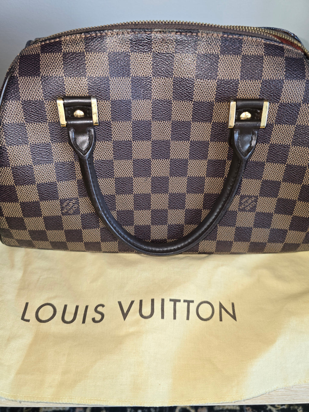 Louis Vuitton Damier Ebene Ribera MM