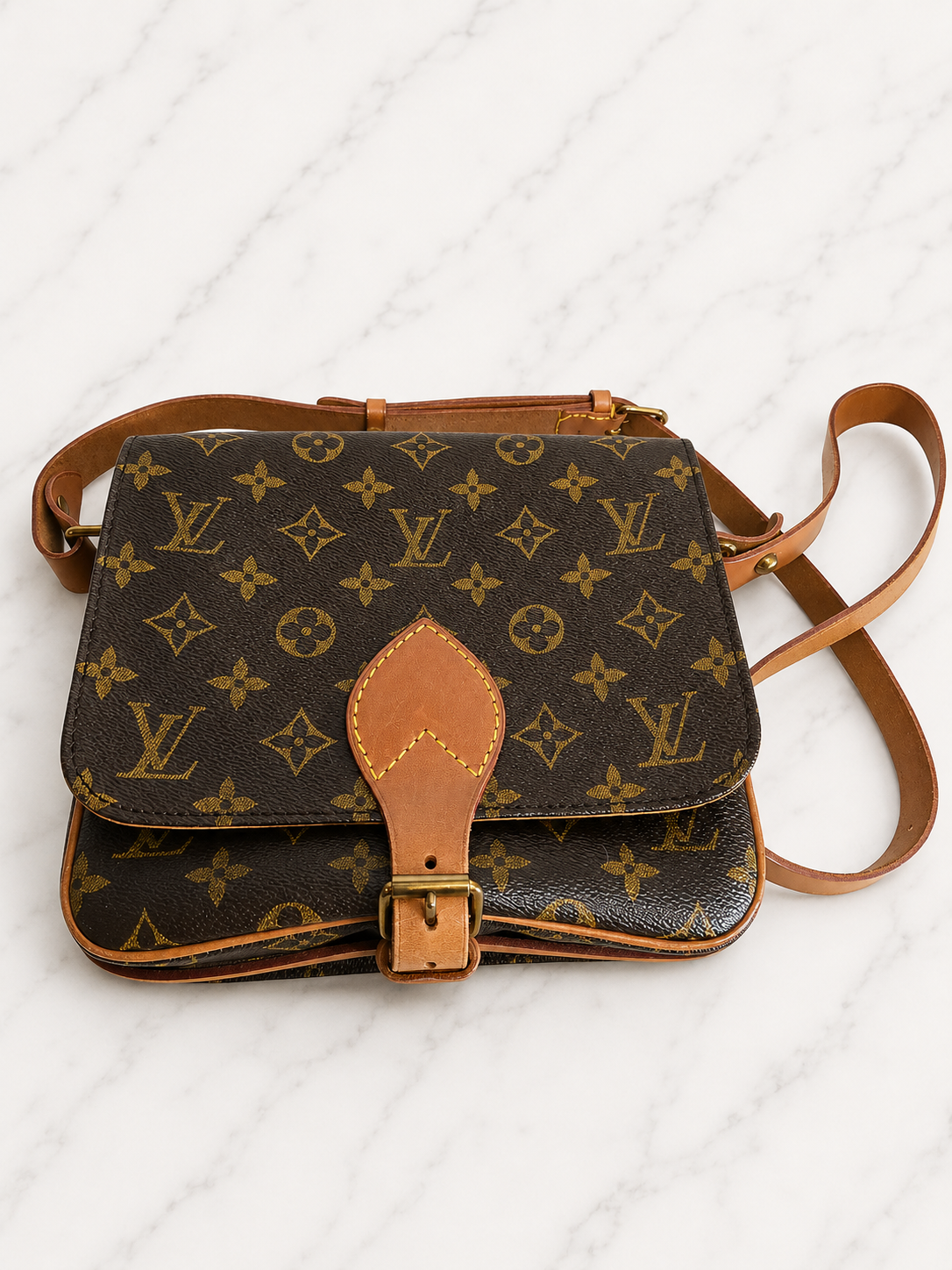 Louis Vuitton Monogram Cartouchiere 22